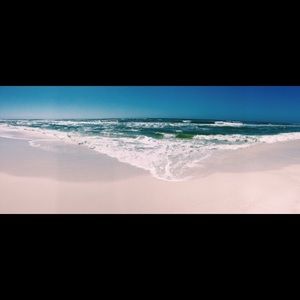 Meet your Posher, Addie